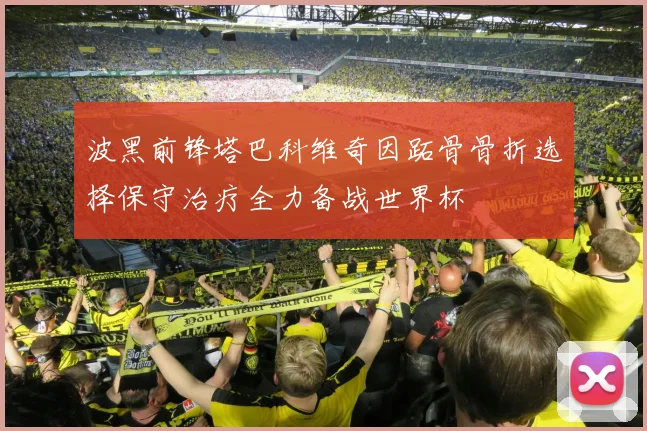 波黑前锋塔巴科维奇因跖骨骨折选择保守治疗全力备战世界杯